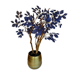 Decoratie plant 